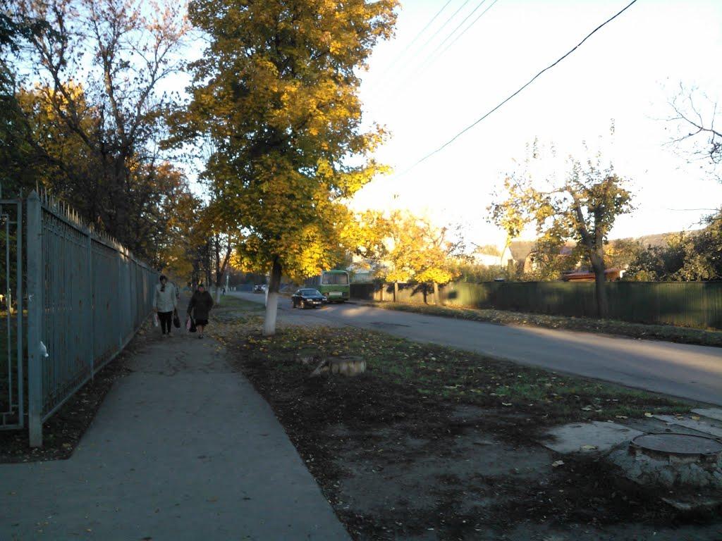 Покотилівка з panoramio.com - Покотилівка