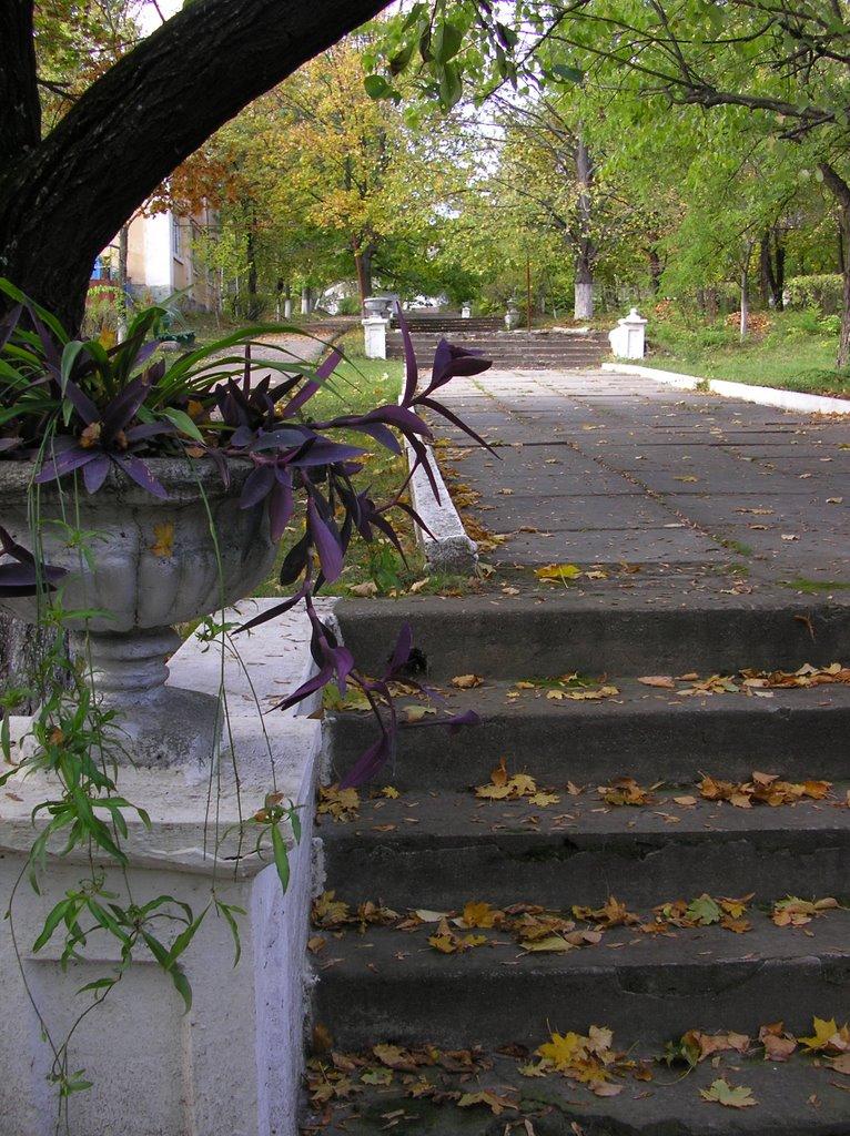 Верхньодніпровськ з panoramio.com - Верхньодніпровськ