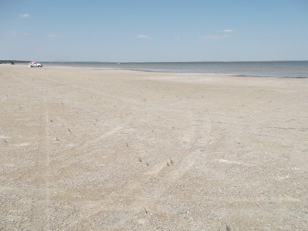 Радивонівка з panoramio.com - Радивонівка