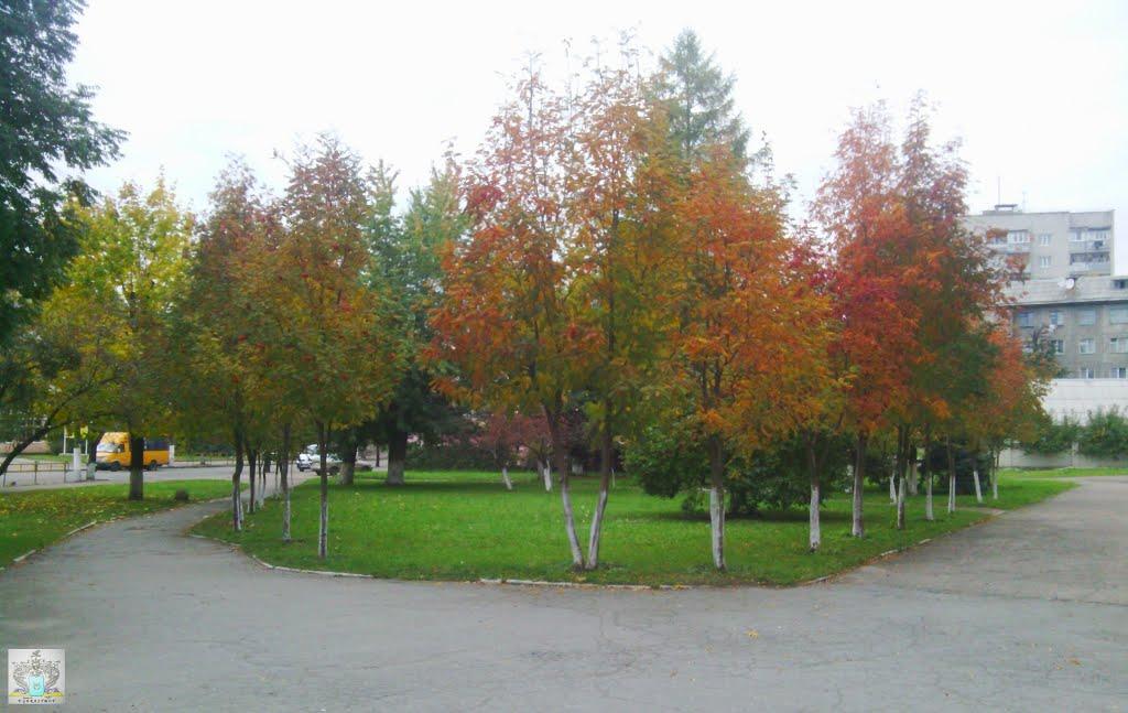 Житомир з panoramio.com (ч.3) - Житомир