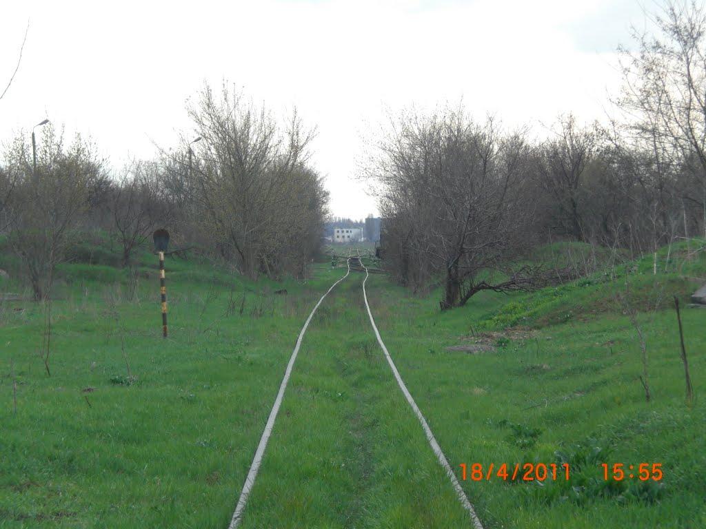 Іллічівка з panoramio.com - Іллічівка