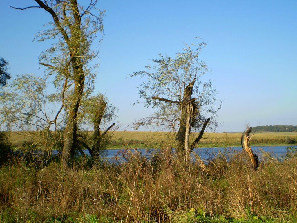 Хлопчиці з panoramio.com - Хлопчиці