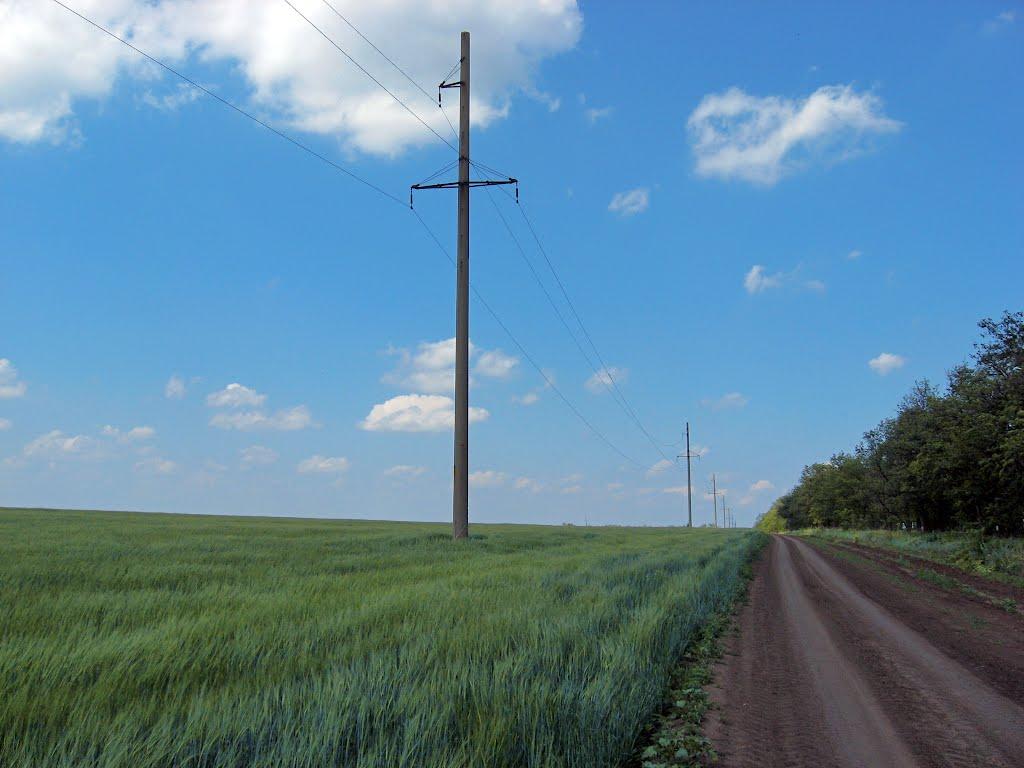 Червоний Садок з panoramio.com - Chervonyy Sadok