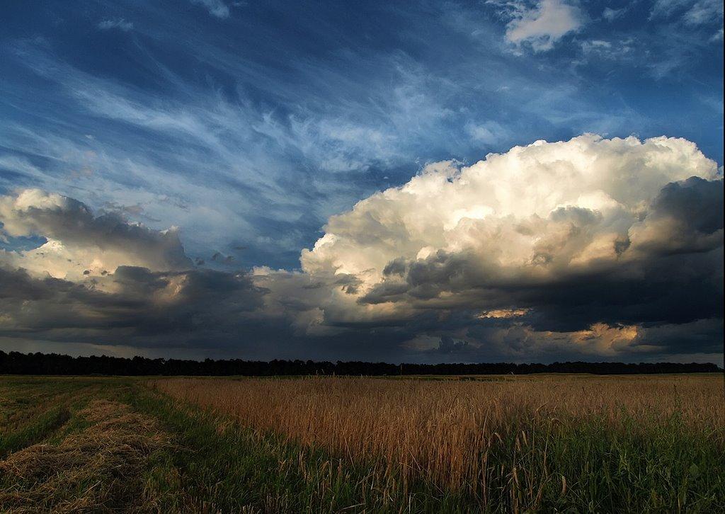 Трушки з panoramio.com - Трушки