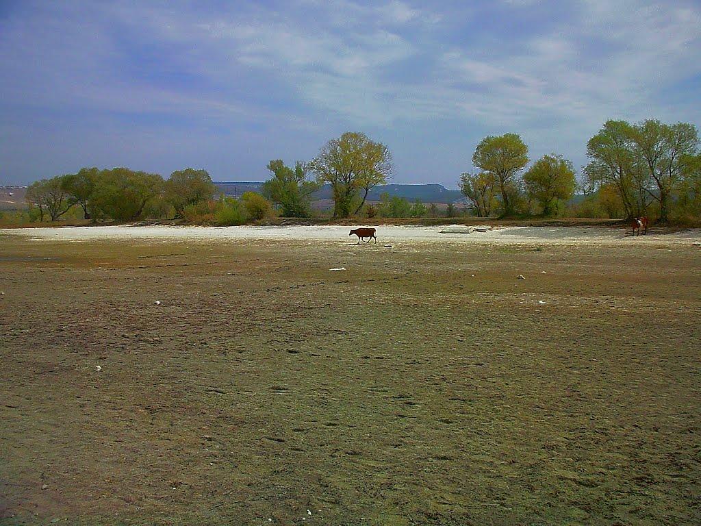 Дачне з panoramio.com - Дачное