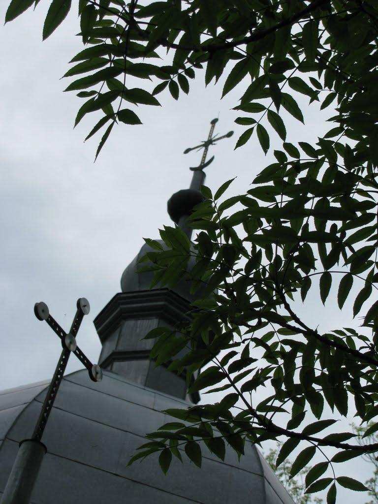 Конюхи з panoramio.com - Конюхи