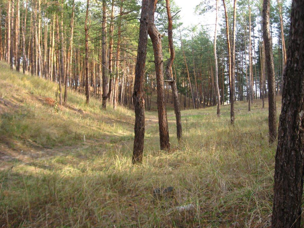 Кремінна з panoramio.com - Кременная
