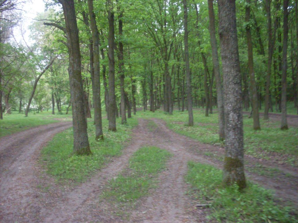 Ямпіль з panoramio.com - Ямпіль