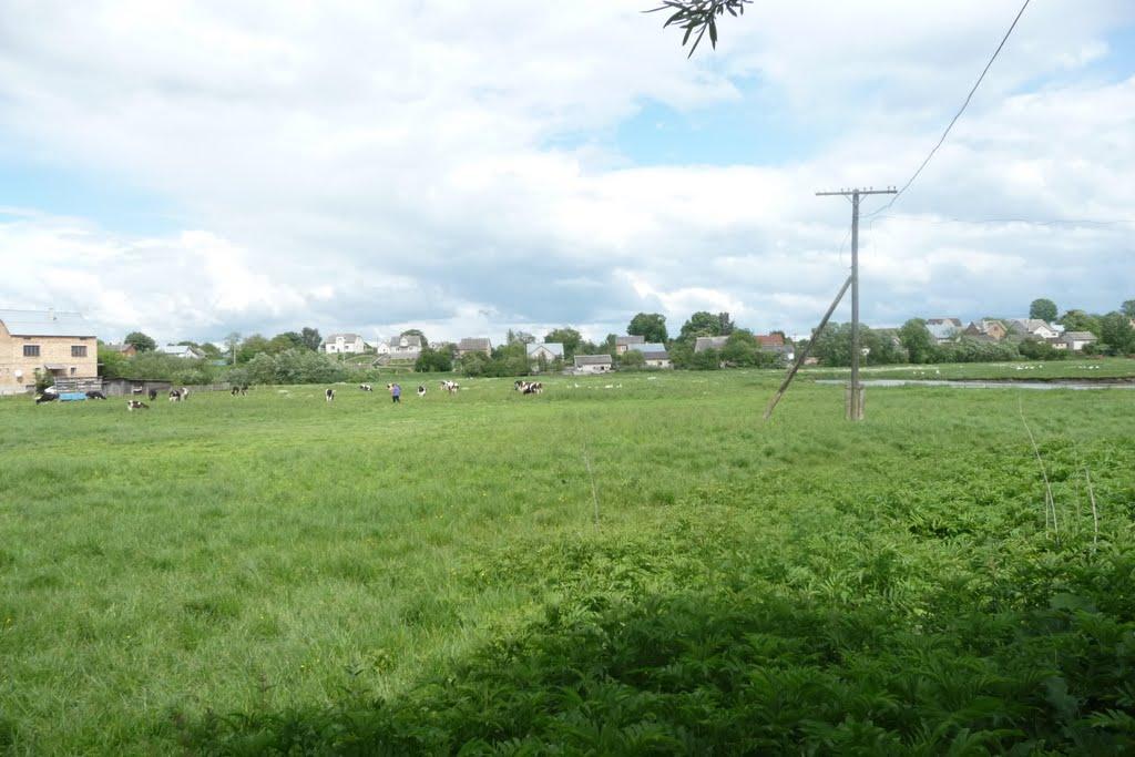 Буськ з panoramio.com - Буськ