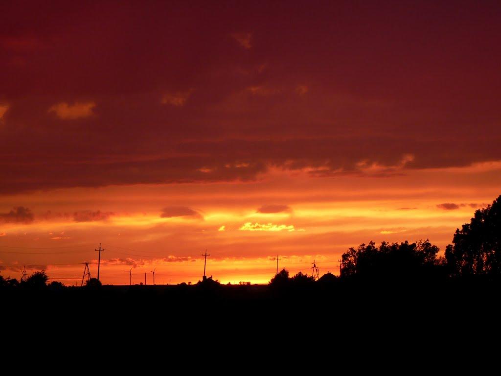 Биків з panoramio.com - Быков