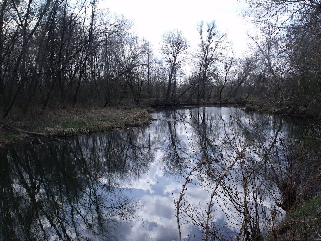 Сорокове з panoramio.com - Сороково