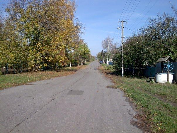 Нова Олександрівка з panoramio.com - Нова Олександрівка