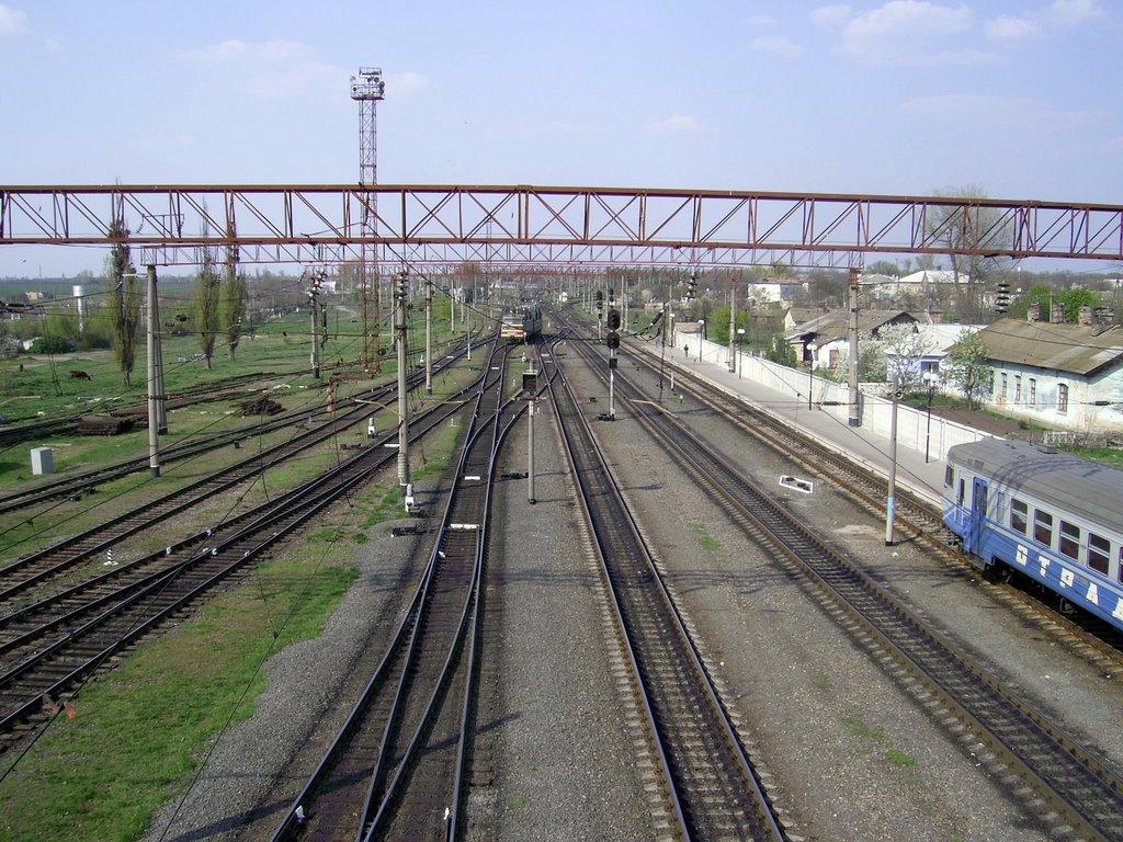 Кудрявцівка з panoramio.com - Кудрявцівка