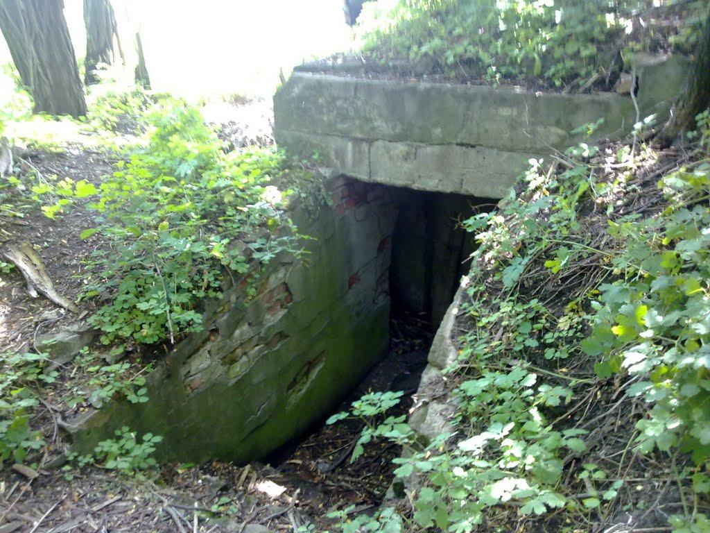 Ракшівка з panoramio.com - Ракшивка