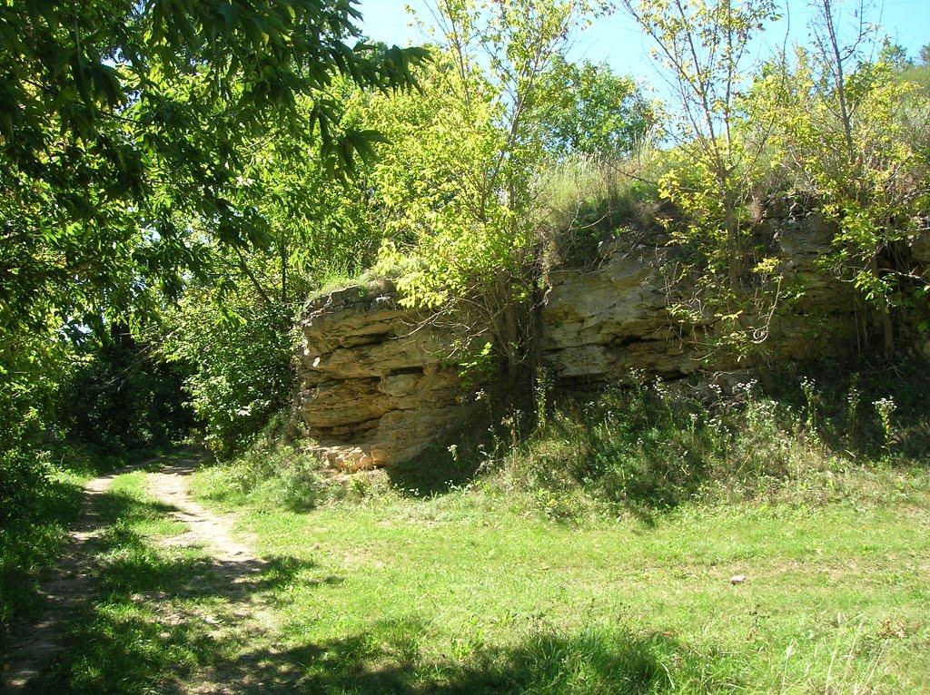 Миролюбівка з panoramio.com - Миролюбівка