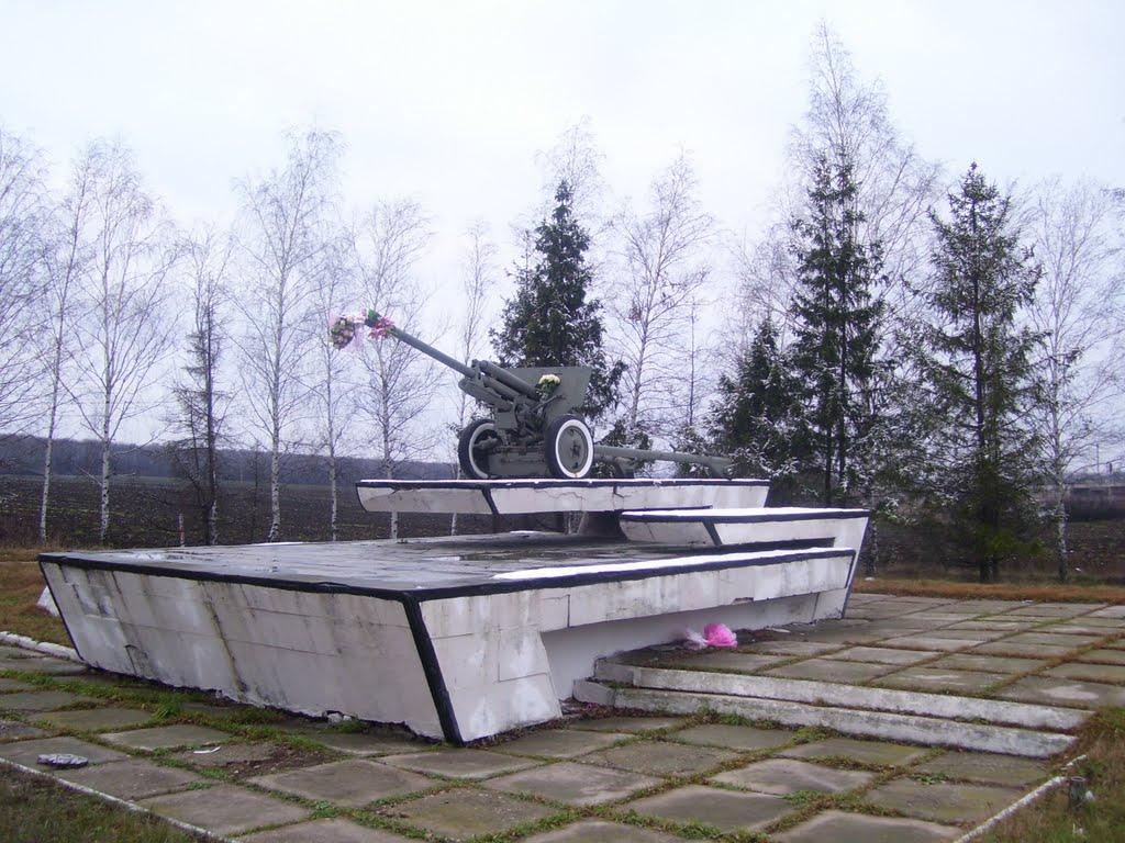 Нова Березівка з panoramio.com - Нова Березівка