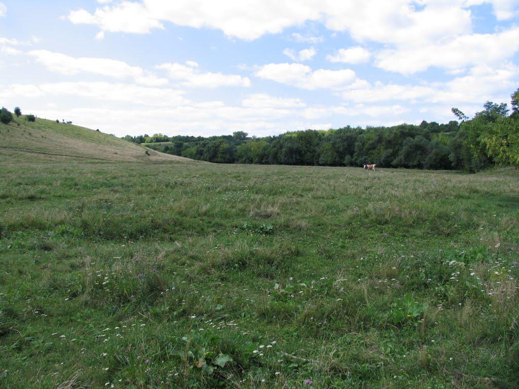 Завітне з panoramio.com - Завітне