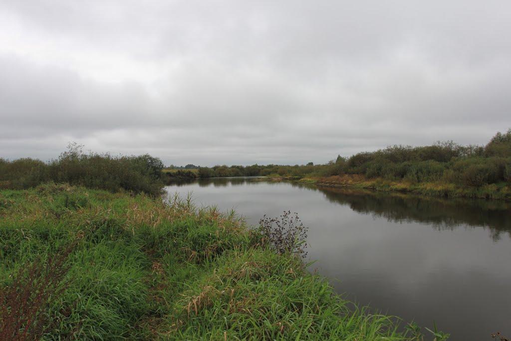 Максимовичі з panoramio.com - Максимовичі