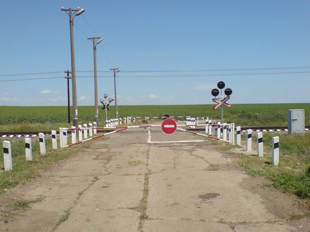 Луначарське з panoramio.com - Азовское