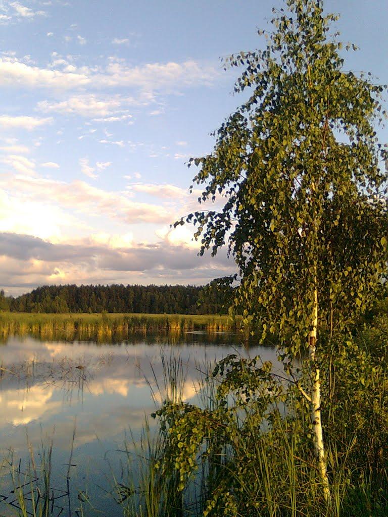 Дениші з panoramio.com - Дениши