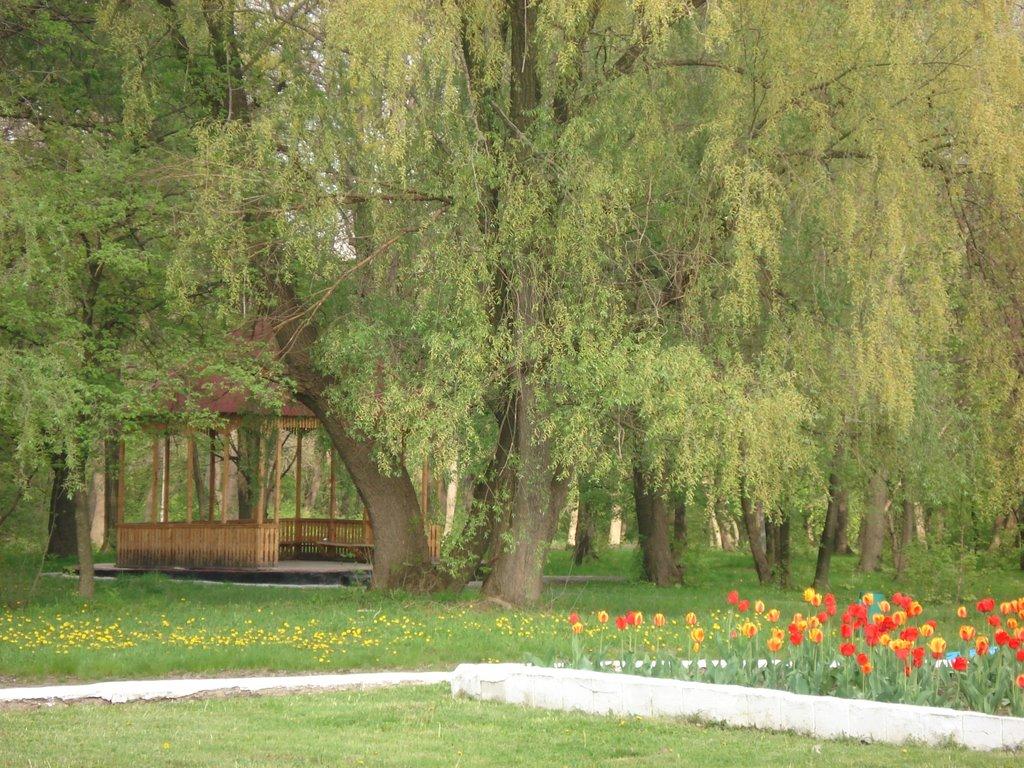 Ровеньки з panoramio.com - Ровеньки
