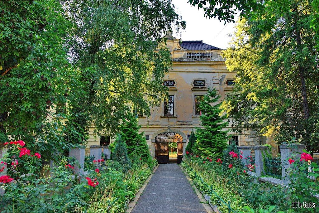 Виноградів з panoramio.com - Виноградов