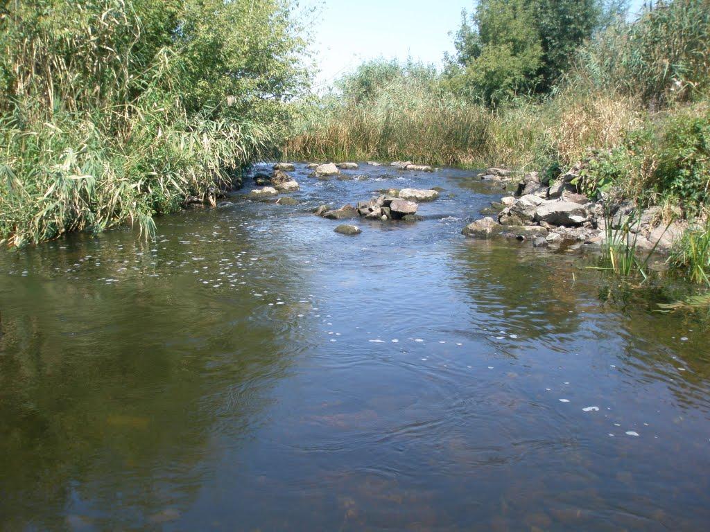 Синюхин Брід з panoramio.com - Синюхин Брід