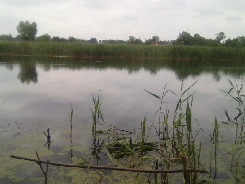Тернівка з panoramio.com - Тернівка
