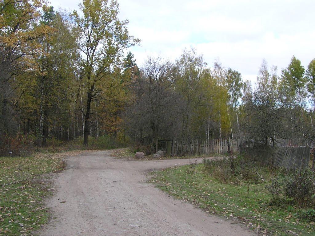 Горщик з panoramio.com - Горщик