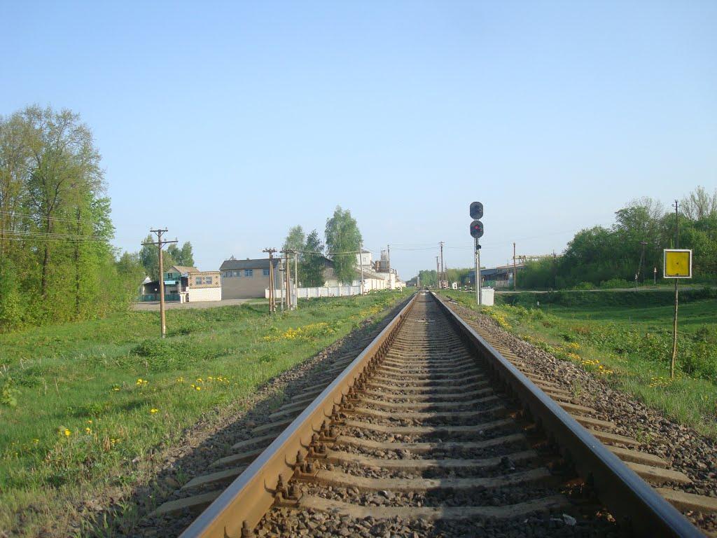 Чотирбоки з panoramio.com - Чотирбоки