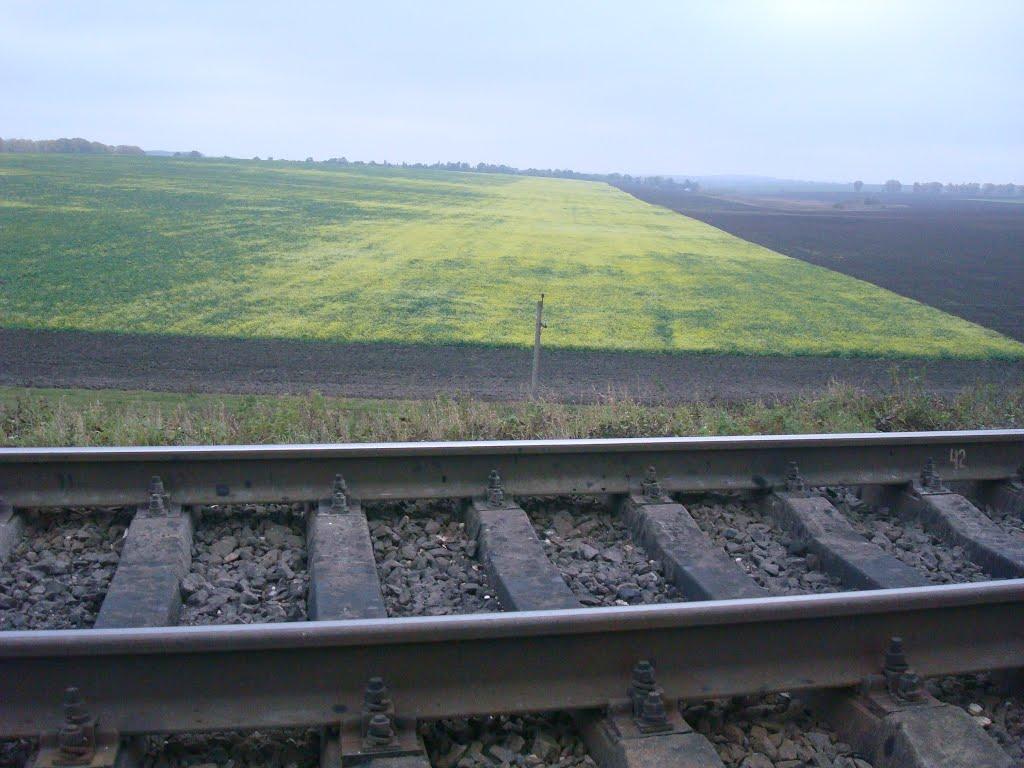 Волудринці з panoramio.com - Волудринці