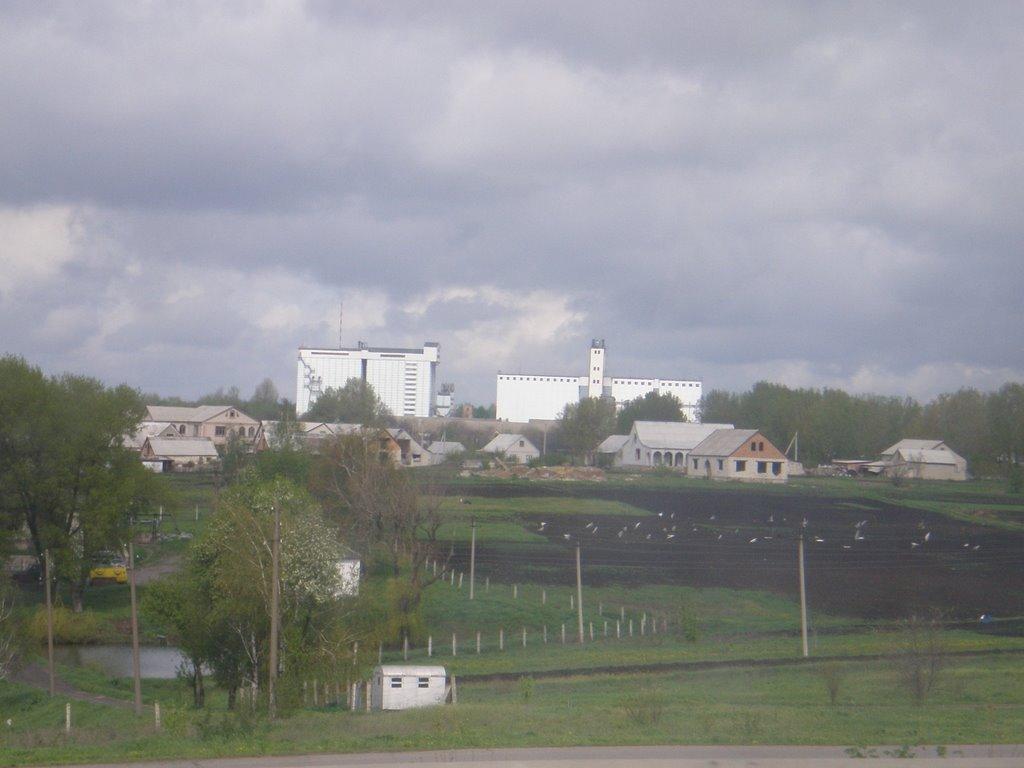 Любашівка з panoramio.com - Любашевка