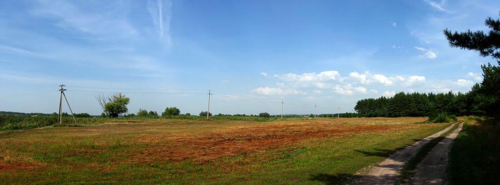 Циркуни з panoramio.com - Циркуны