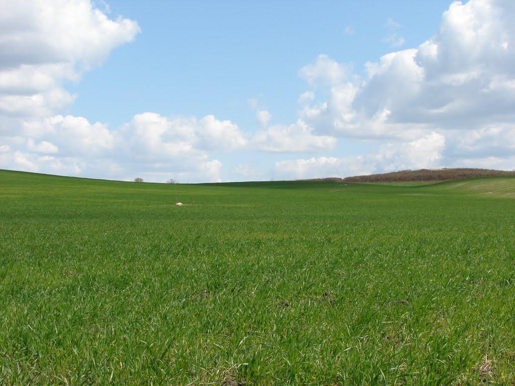 Підбірці з panoramio.com - Підбірці