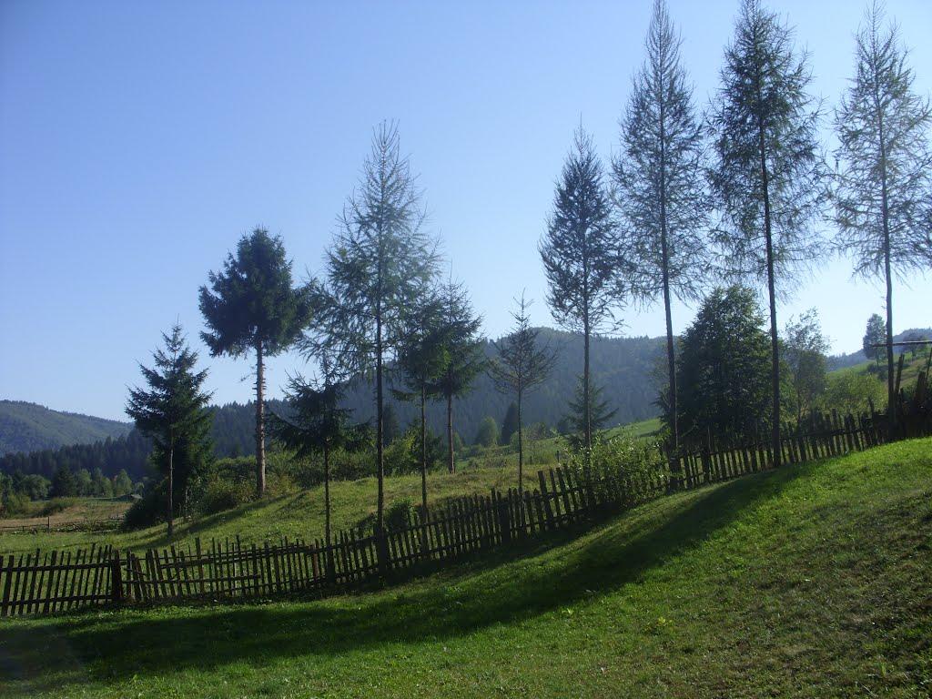 Фальків з panoramio.com (ч.2) - Фальків