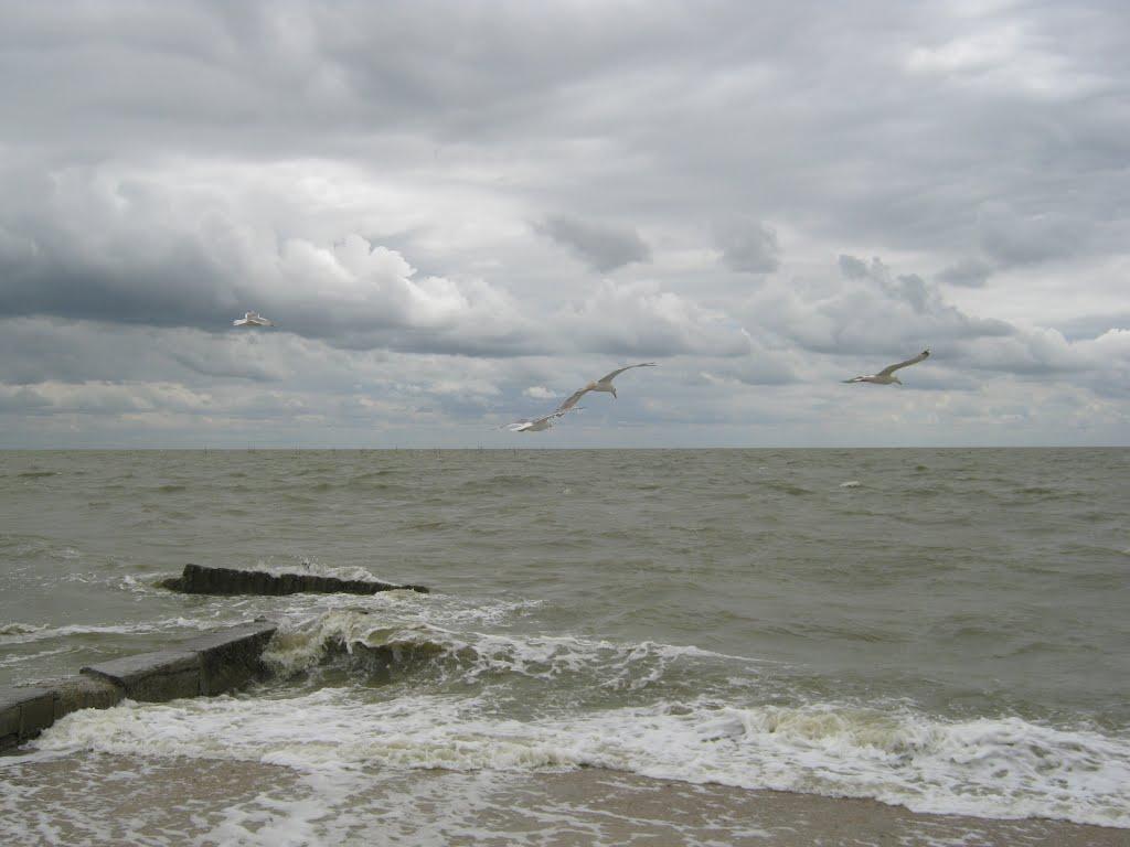 Сєдове з panoramio.com - Седово