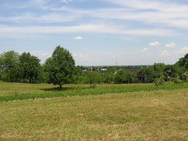 Корчівці з panoramio.com - Корчівці