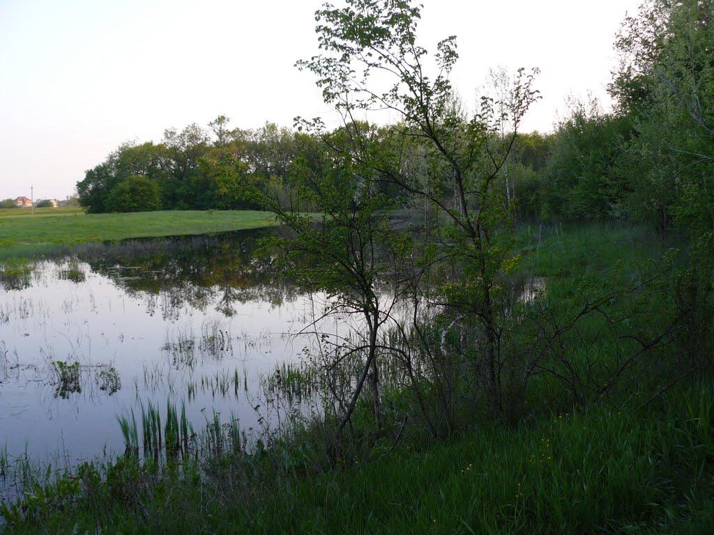 Могилів з panoramio.com - Могилев
