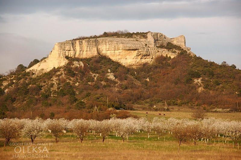 Красний Мак з panoramio.com - Красный Мак