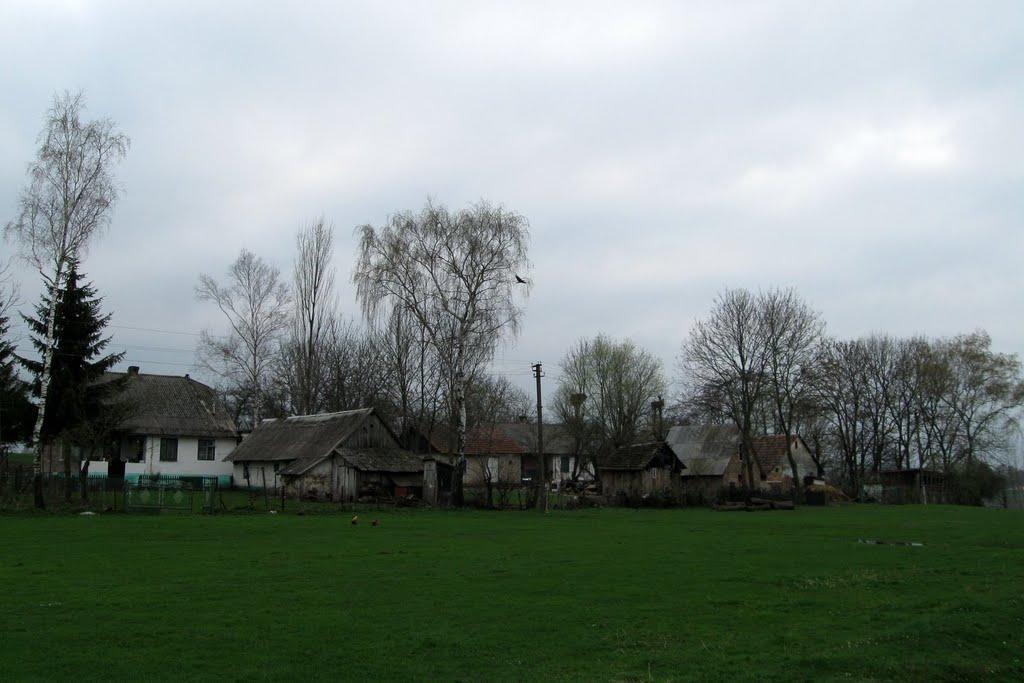 Стрілецьке з panoramio.com - Стрілецьке