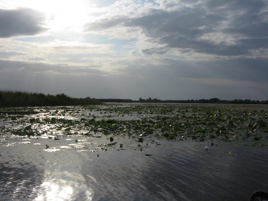 Кізомис з panoramio.com - Кізомис