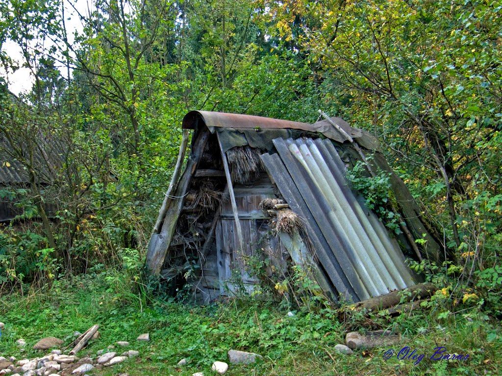 Пилипець з panoramio.com - Пилипец