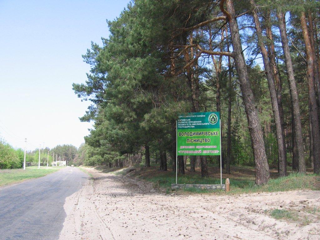 Сорокове з panoramio.com - Сороково