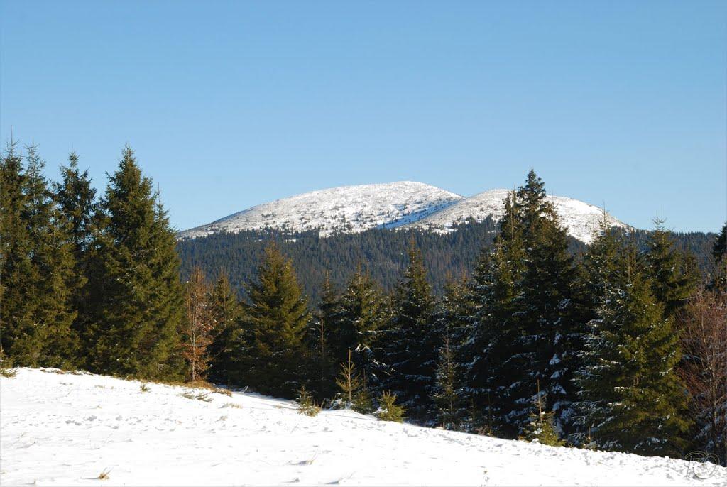 Береги з panoramio.com - Береги