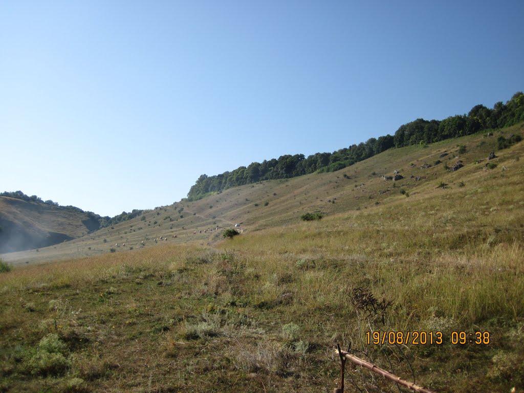 Комарів з panoramio.com - Komariv