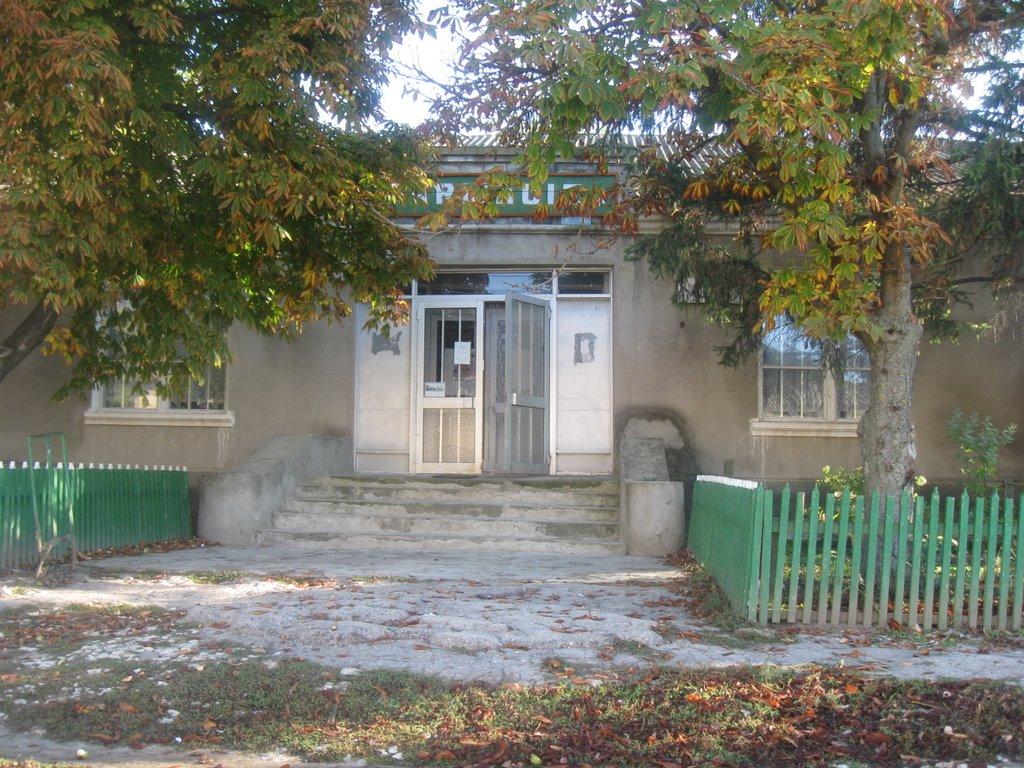 Петрівка з panoramio.com - Петровка