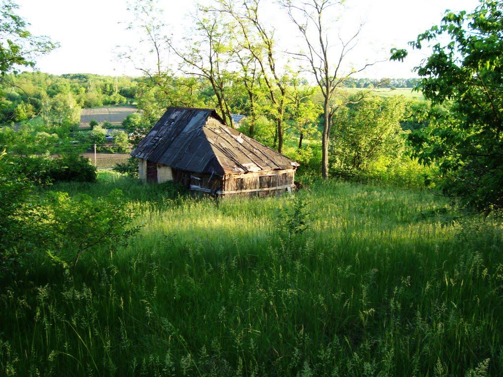 Хлистунівка з panoramio.com - Хлистунівка