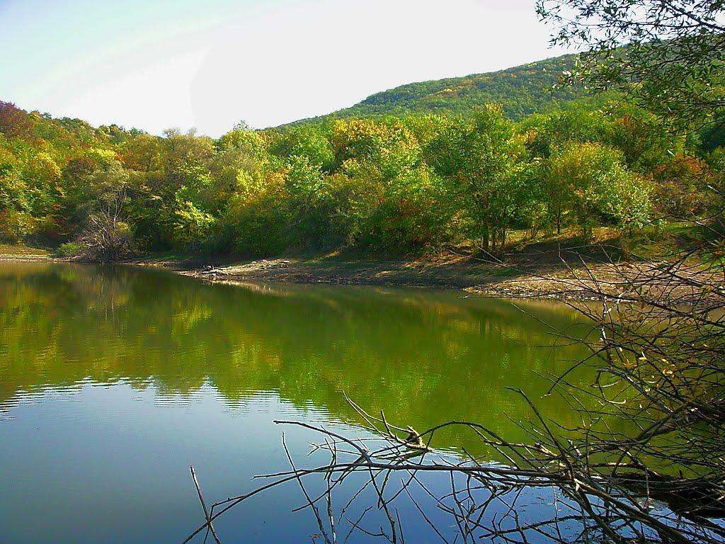 Плотинне з panoramio.com - Плотинне