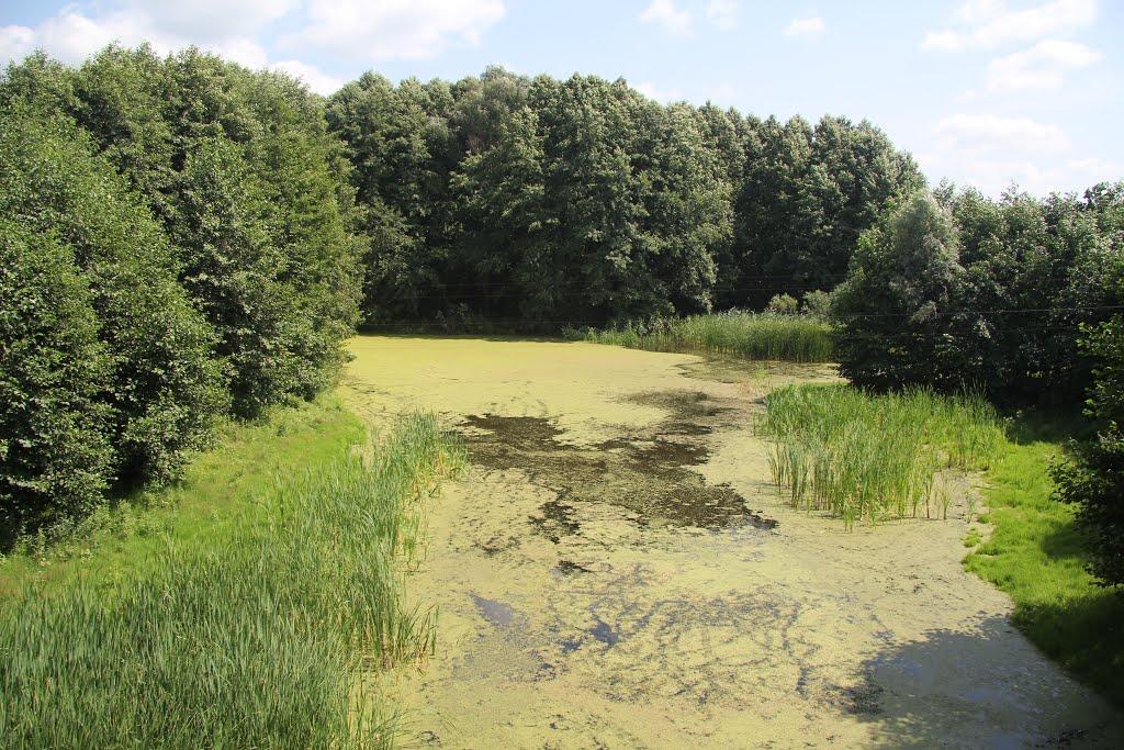 Підозірка з panoramio.com - Підозірка