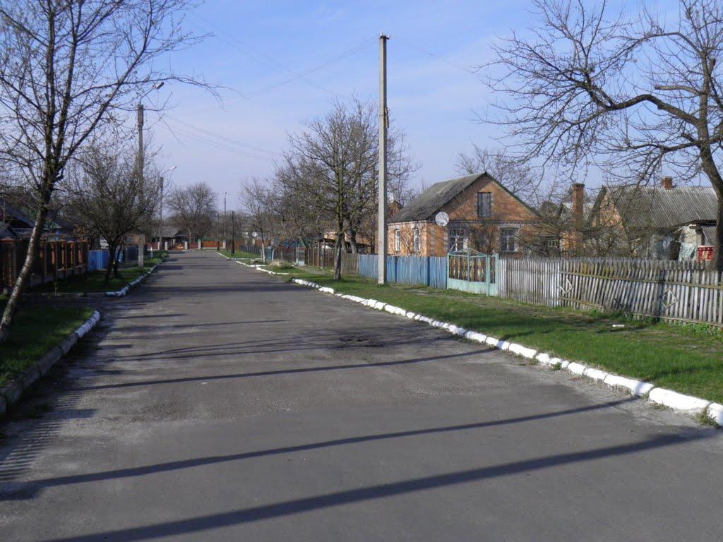 Маневичі з panoramio.com - Маневичи